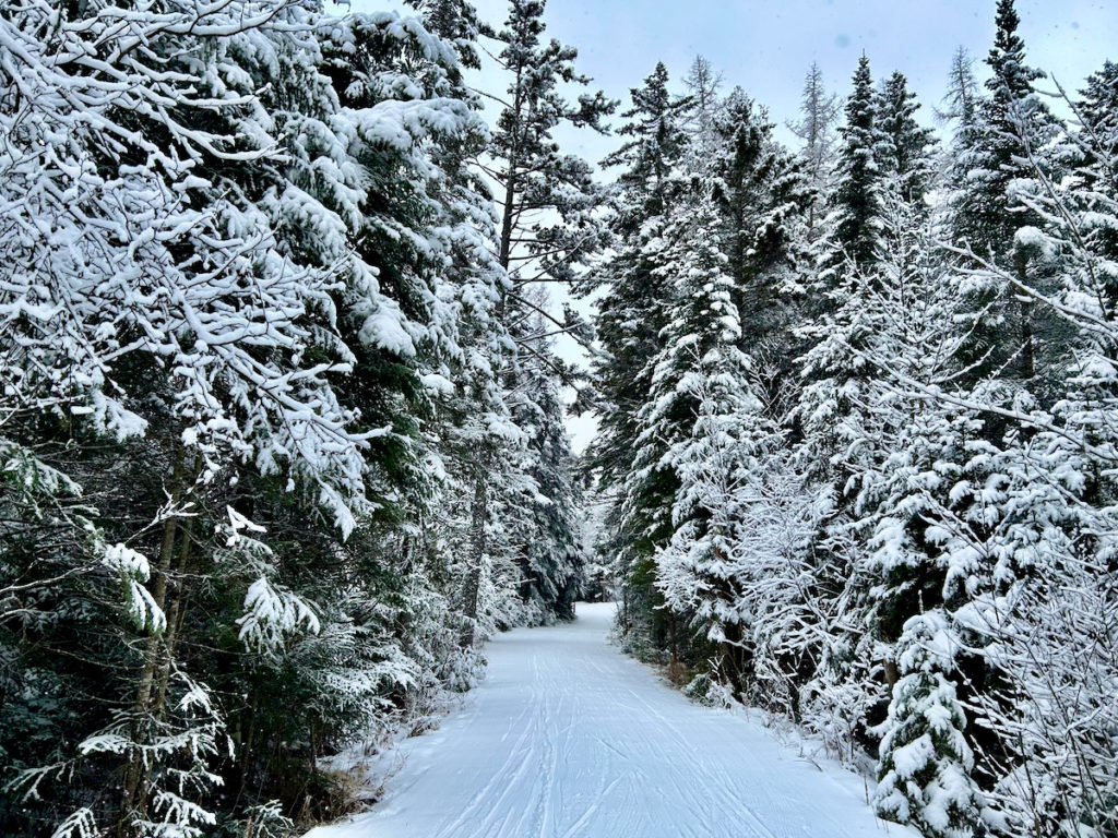 Finding Stillness in nature
