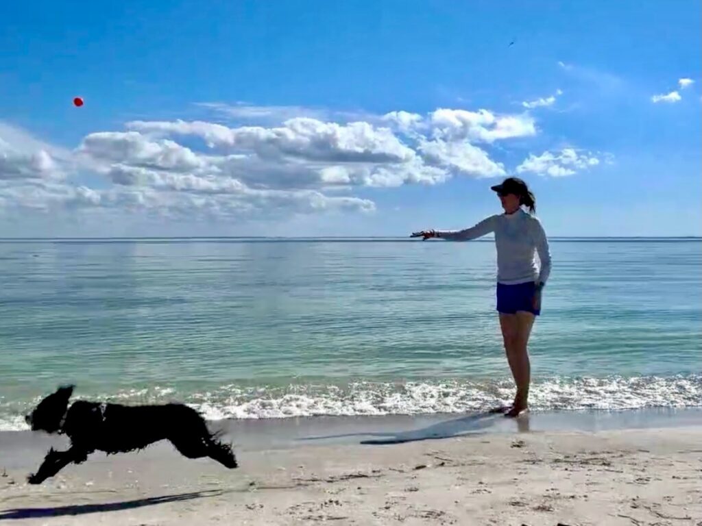 7 day gratitude challenge-day 2 my body